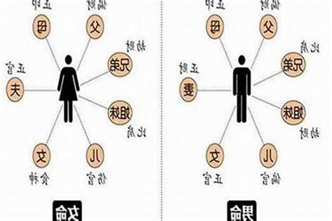 根 意思
